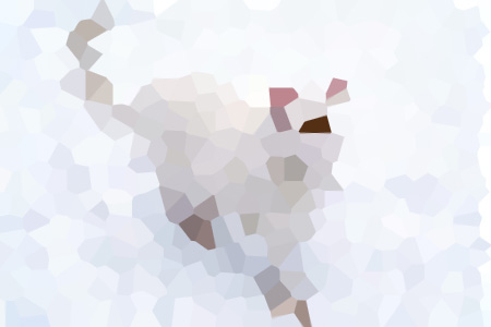 ˹С˵ȫƼ-ֽ