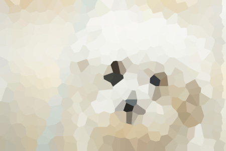 ԲС˵ȫϴ-