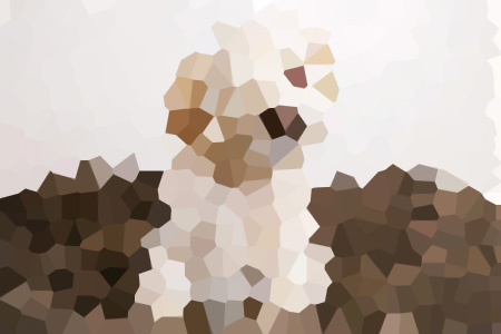 ۻ˾-ۻ˾С˵ȫƼ