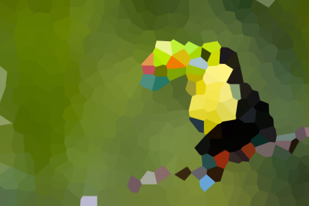 ׿С˵ȫ-