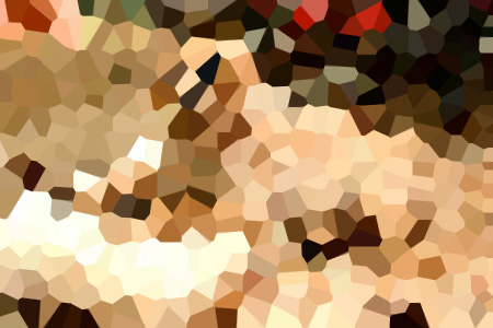 ʼʵʼĩС˵ȫΪĶĶ