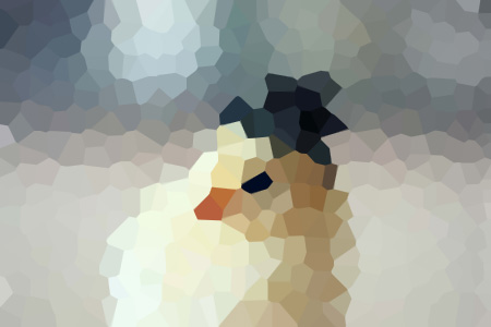 㹬ٷС˵ȫƼ