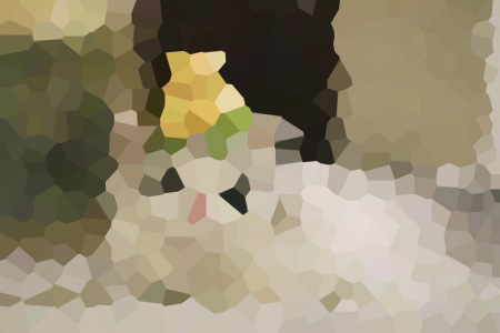 ʩɻɱ˿