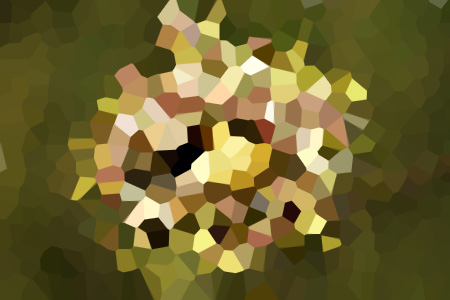ݺС˵ȫĶ