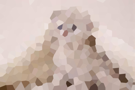ǿƺ-ϰѩлĪȻ೤С˵ȫ