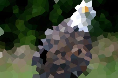 ҶܳаŢ-ҶܳаŢС˵ȫƼ