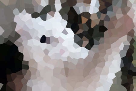 ĽͥС˵ȫĶ