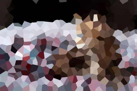½̺С˵ȫĶ