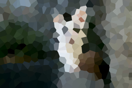 ˼ȦƼ-С˵ȫ
