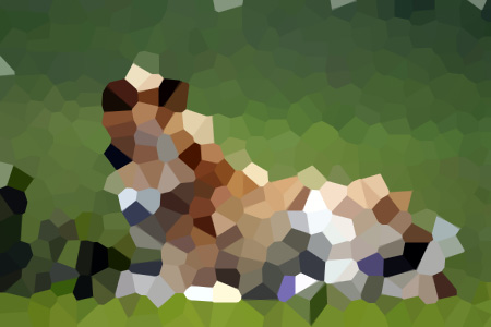 ӾС˵ȫ-ӾС˵ȫĶ