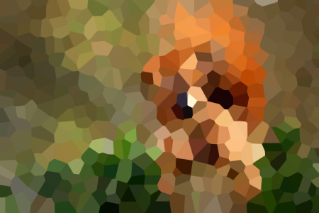 ػ80ĸС˵ȫ-ػ80ĸ׼С