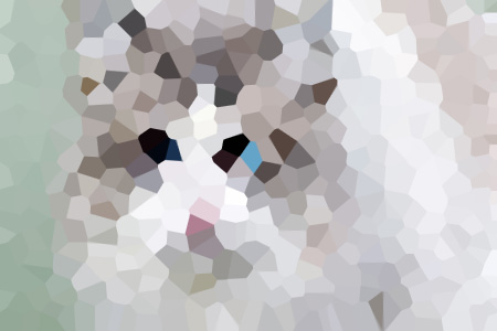 Ƽ-ȽͥůС˵ȫ