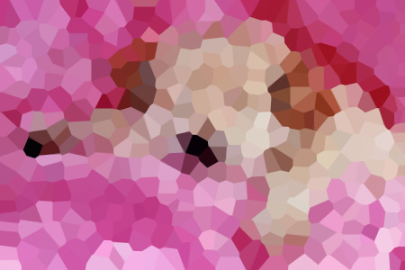 ½ǽС˵ȫ-Ƥ