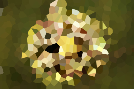 ǿƺĹ-ɵzMMС˵ȫ
