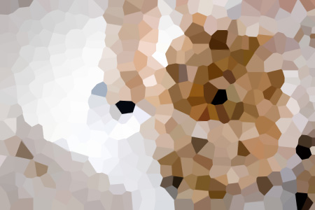 ůС˵ȫ-ůƼ