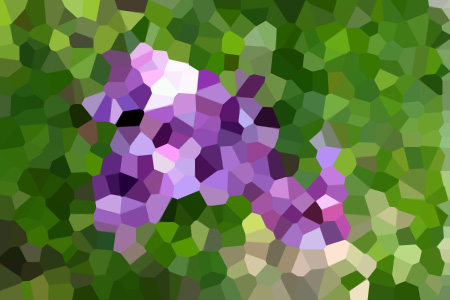 Ƽʱ-ʱС˵ȫ
