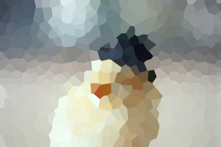 Ҷְѩһׯ԰걾С˵ȫĶ