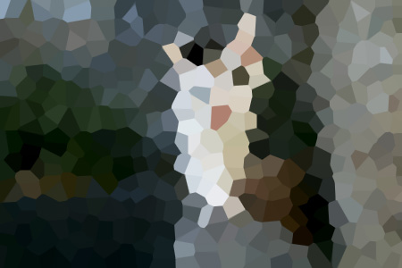ǽ֪С˵ȫĶ