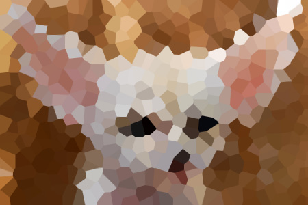ҽҶ𽼧С˵ȫƼ