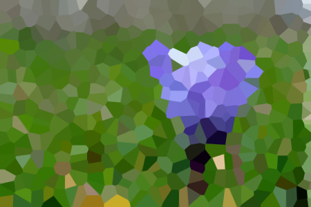 ǰŹ-ŹС˵ȫƼ