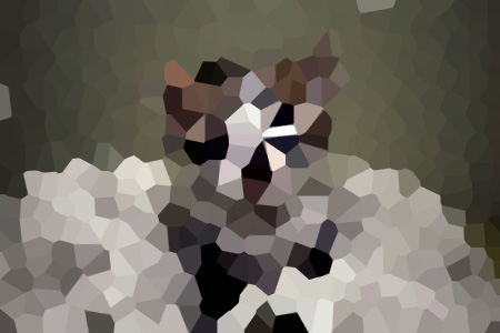 ƼСѧܱ-СѧܱС˵ȫ