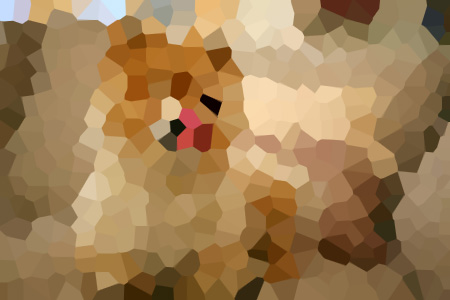 ż̳ȳȹС˵ȫ-̳ȳȹĶ