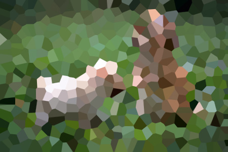 ʢС˵ȫ-ʢ