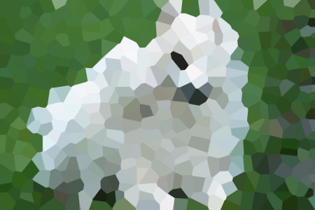 ʲôС˵ȫ--ʲôС˵ȫƼ