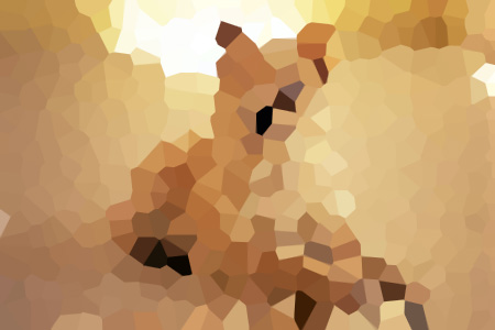 ĬС˵ȫ-ĬƹĶ
