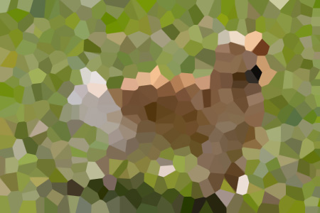 ӳлԽ-ӳлԽС˵ȫƼ