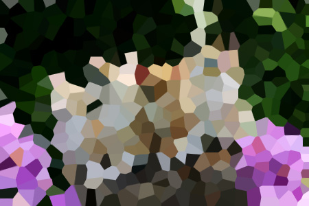 ں½С˵ȫ걾Ķ
